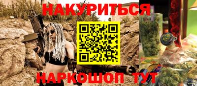 сатива Камышлов