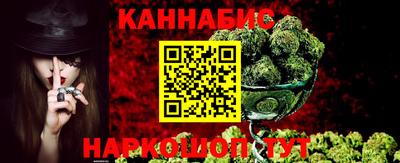 сатива Камышлов
