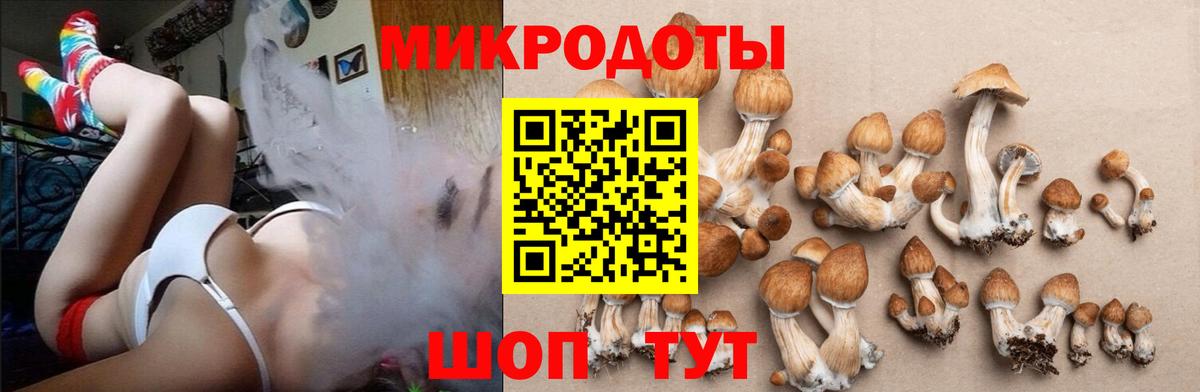 Галлюциногенные грибы прущие грибы Кинель